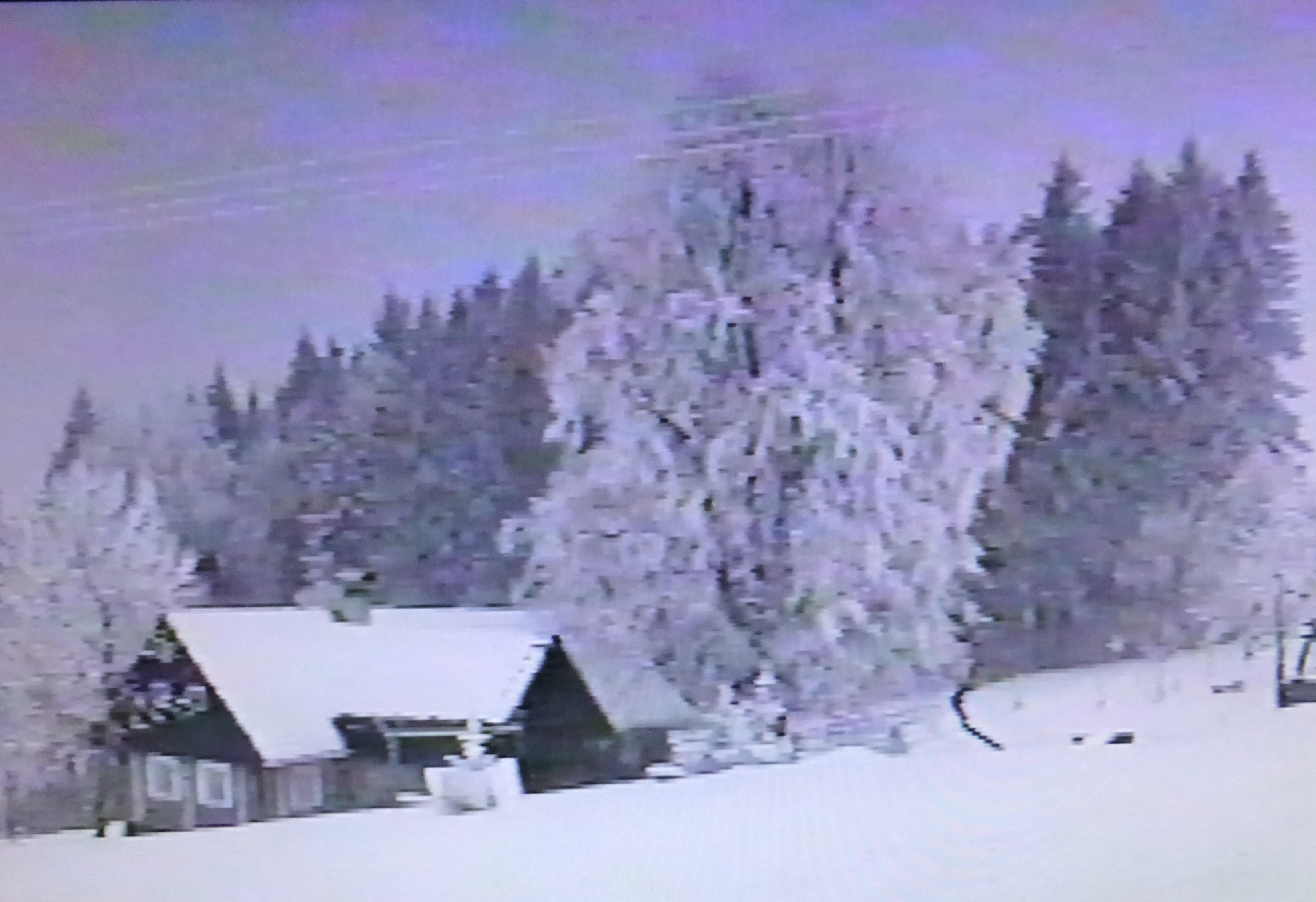 Foto makléře